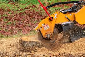 Best Lawn Drainage Solutions  in San Leandro, CA
